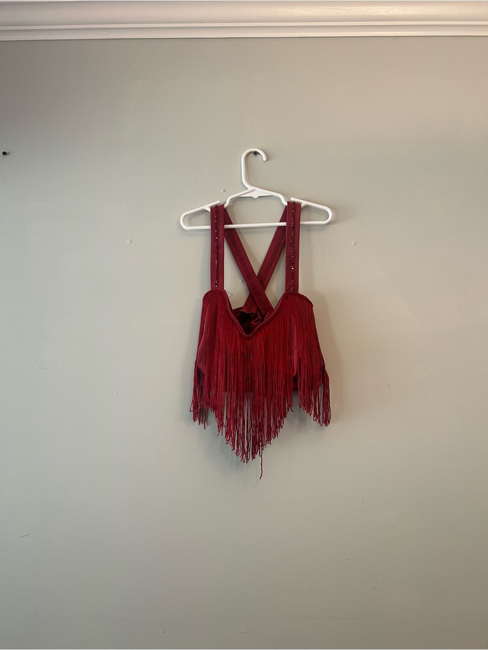 Red Fringe top, skirt and briefs costume